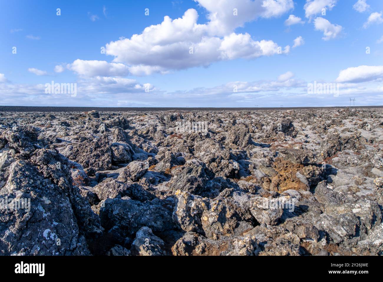 Les lichens vibrants poussent sur les roches volcaniques noires, présentant un environnement primitif. Péninsule de Reykjavik, Islande. Banque D'Images