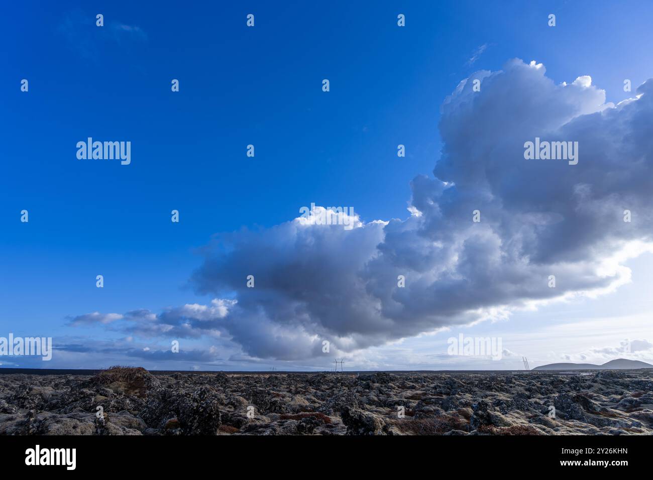 Les lichens vibrants poussent sur les roches volcaniques noires, présentant un environnement primitif. Péninsule de Reykjavik, Islande. Banque D'Images