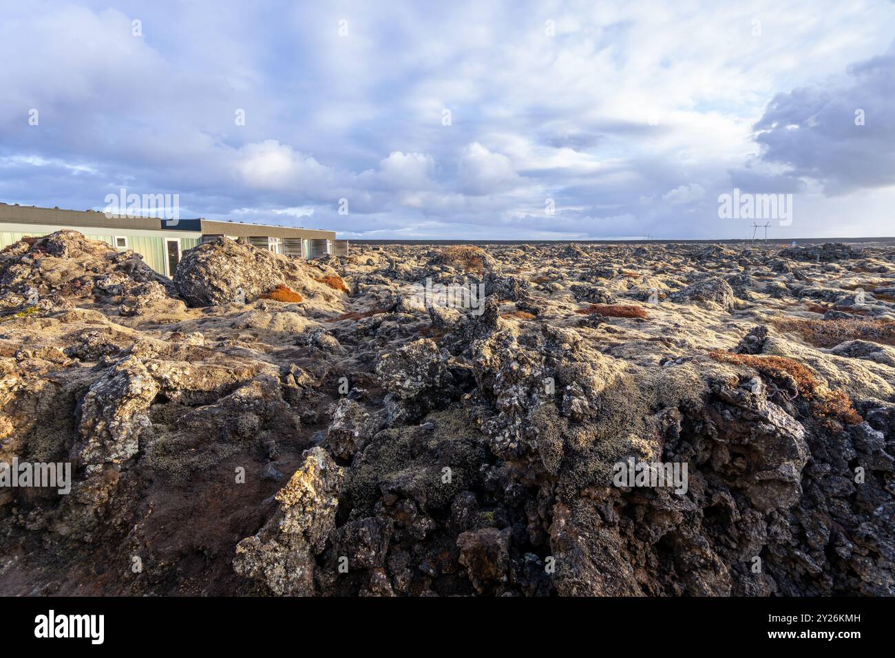 Les lichens vibrants poussent sur les roches volcaniques noires, présentant un environnement primitif. Péninsule de Reykjavik, Islande. Banque D'Images