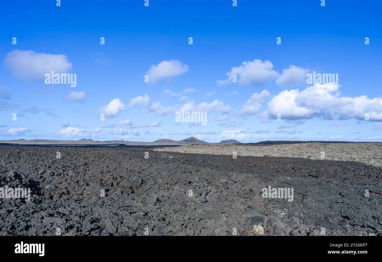 Les lichens vibrants poussent sur les roches volcaniques noires, présentant un environnement primitif. Péninsule de Reykjavik, Islande. Banque D'Images