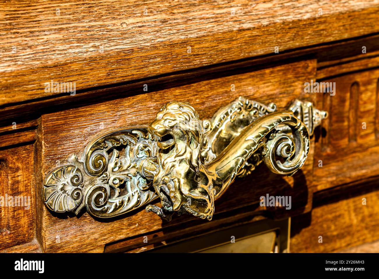 La poignée de porte lion en laiton exquise ajoute une touche d'élégance à l'armoire en bois richement texturée, mettant en valeur l'artisanat raffiné dans un bac parisien ensoleillé Banque D'Images