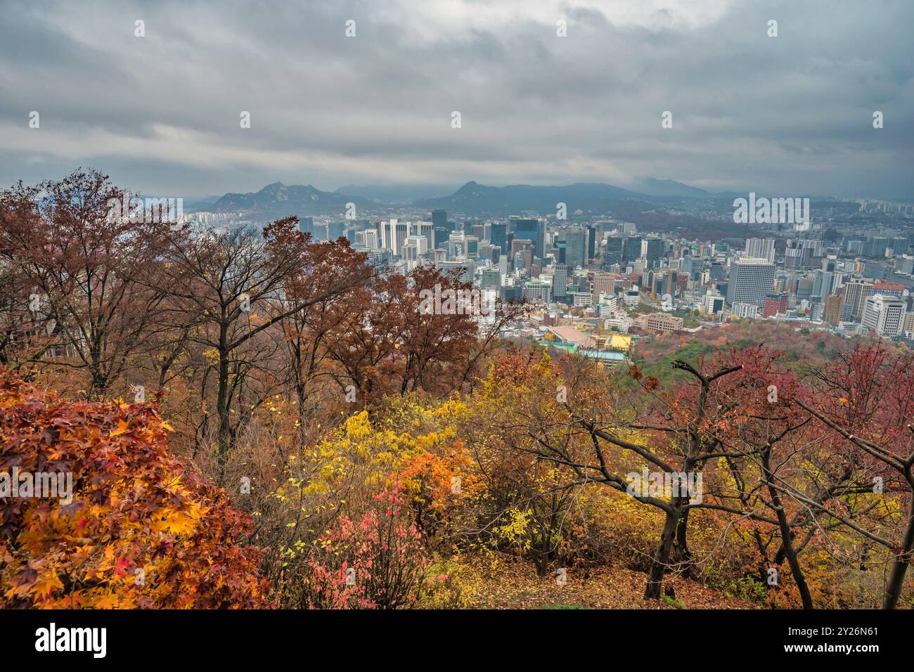 Séoul vue sur les gratte-ciel de la Corée du Sud depuis Namsan Mountain en automne Banque D'Images