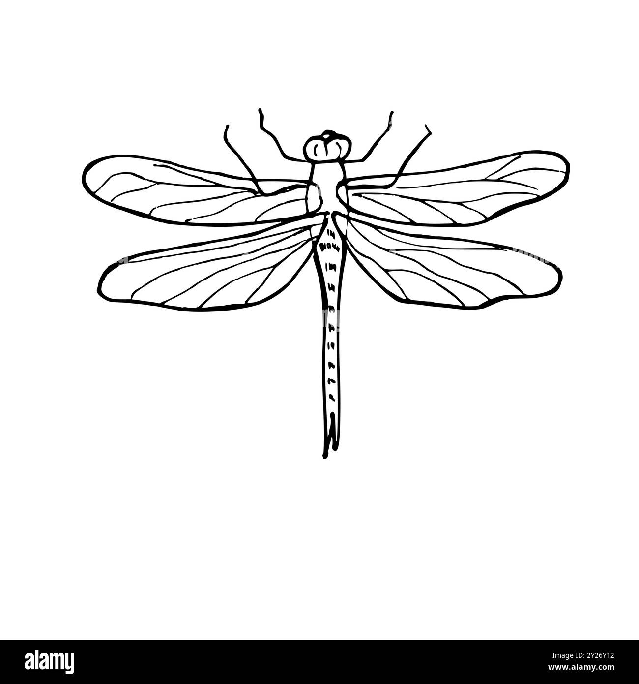 Illustration isolée de vecteur de libellule volante d'été sur fond blanc. Croquis à l'encre de ligne Damselfly en noir. Vue de dessus. Insecte monochrome Illustration de Vecteur