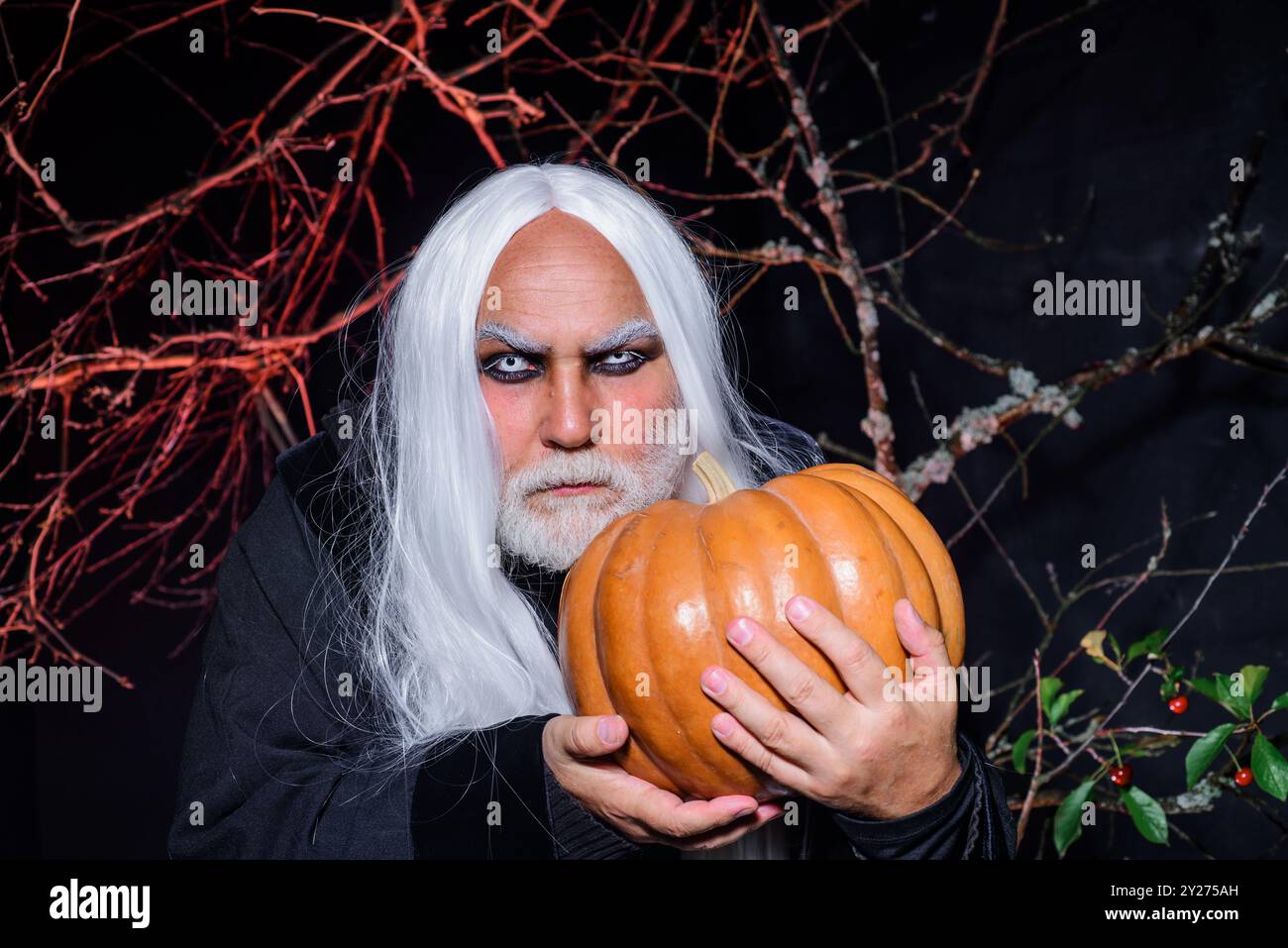 Diable vampire homme avec la citrouille d'Halloween. Magicien witcher vieil homme avec de la citrouille le soir d'Halloween. Sorcier maléfique avec Halloween citrouille Jack-o-lanterne. Banque D'Images