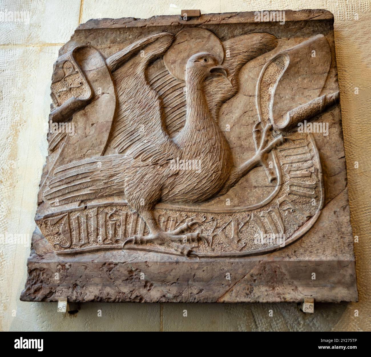 Paris, France - 10 avril 2023 : la sculpture en calcaire représente l'aigle, symbole de Saint Jean l'évangéliste du musée du Louvre à Paris, France. C'est un na Banque D'Images