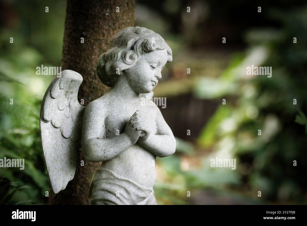 petit ange en prière blanc ou putti avec des ailes dans un cimetière dans un environnement boisé dans un fond flou Banque D'Images