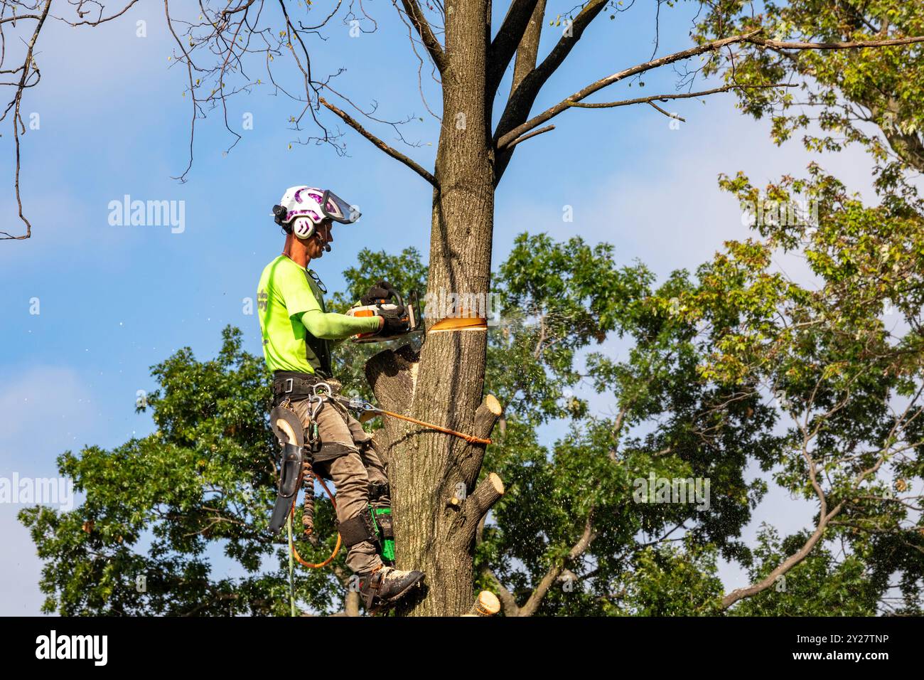 Detroit, Michigan - Un travailleur pour un service d'enlèvement d'arbres coupe un arbre mort. Banque D'Images