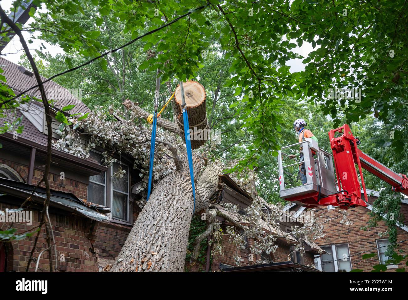 Detroit, Michigan - Une tempête avec des rafales de vent de 70 km/h a soufflé sur un cottonwood de 15 tonnes et 110 pieds, endommageant trois maisons dans le quartier de Morningside. A doz Banque D'Images