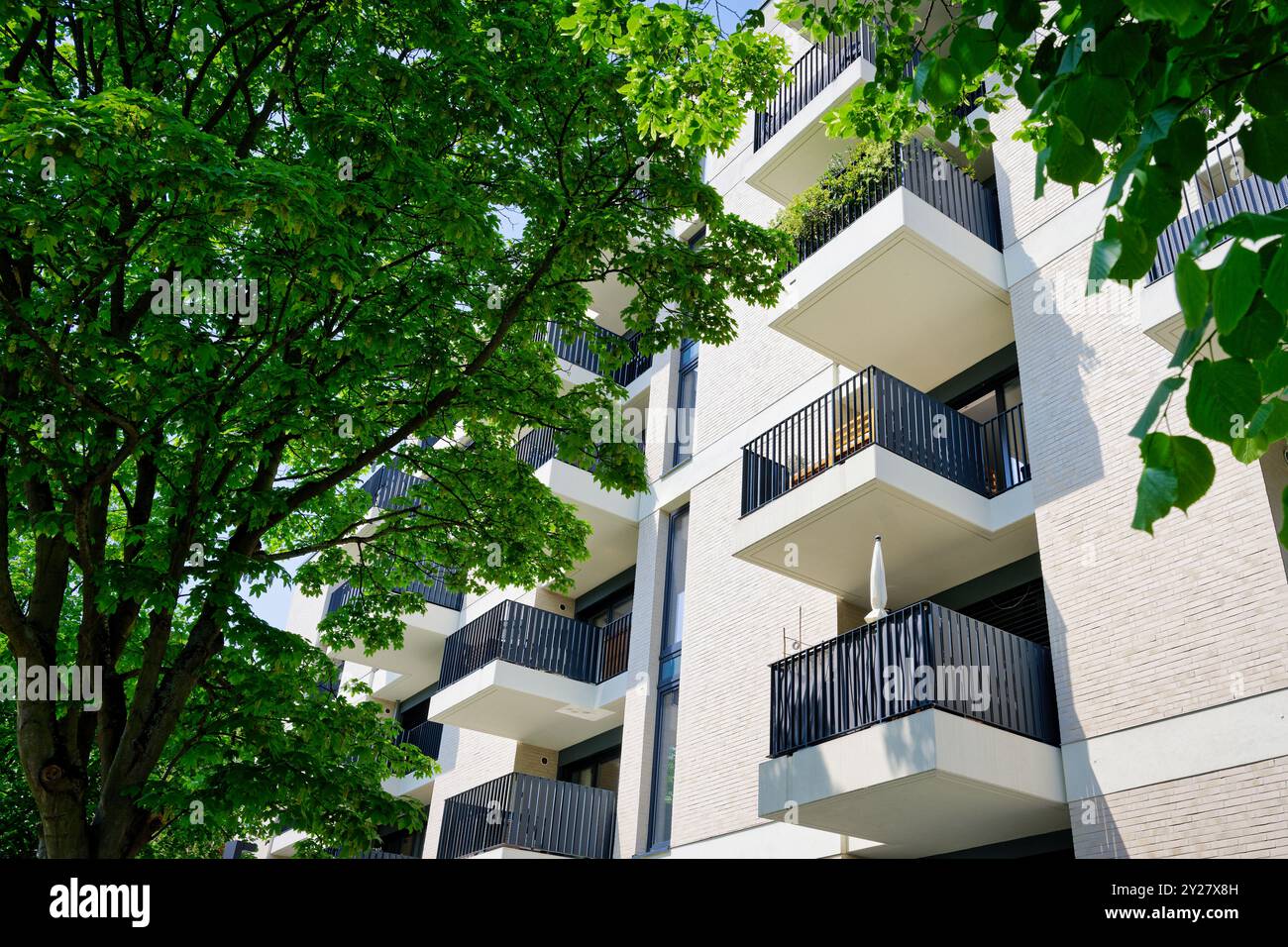 beaucoup de petits balcons sur un nouveau bâtiment avec des appartements simples avec des arbres au premier plan à cologne Banque D'Images