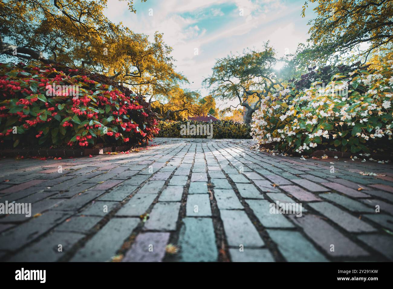 Découvrez la beauté de Prescott Park à Portsmouth, NH, où vous pourrez admirer des vues panoramiques sur le front de mer, des jardins animés et des vues extérieures animées. Banque D'Images