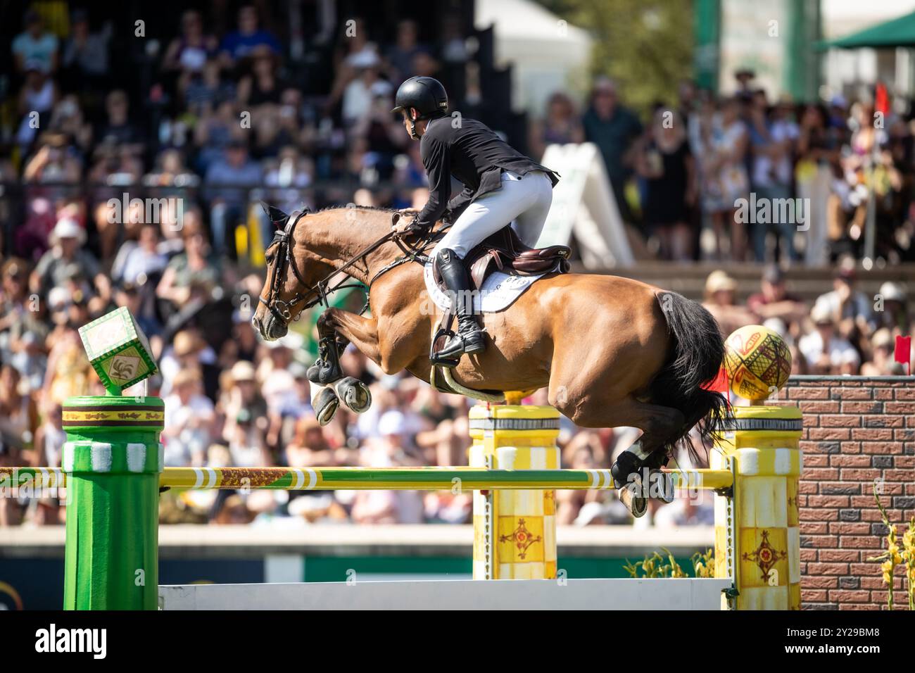 Calgary, Canada - 8 septembre 2024. Scott Brash, de Grande-Bretagne et Hello Jefferson, participent à la première ronde du 1.60m CPKC International d Banque D'Images