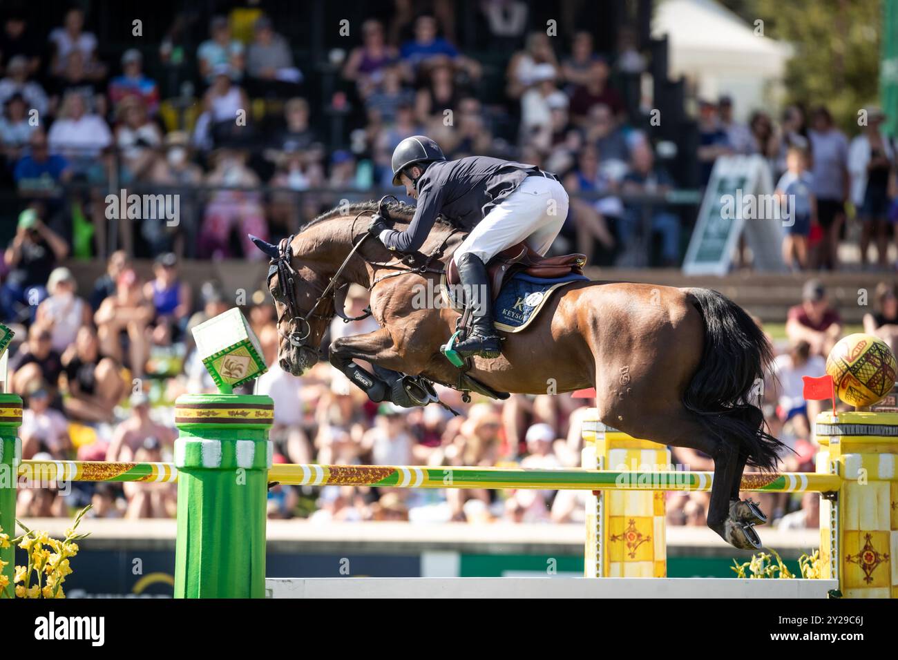 Calgary, Canada - 8 septembre 2024. Cian O'Conner, d'Irlande, et Riding Fermoy participent à la première ronde du 1.60m CPKC International lors du SPR Banque D'Images