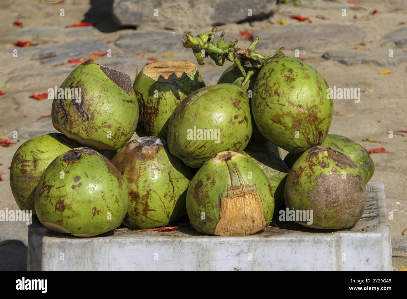 Gros plan de noix de coco vertes fraîches empilées prêtes à vendre sur un marché dans la ville historique de Paraty, Brésil, patrimoine mondial de l'UNESCO, Amérique du Sud Banque D'Images