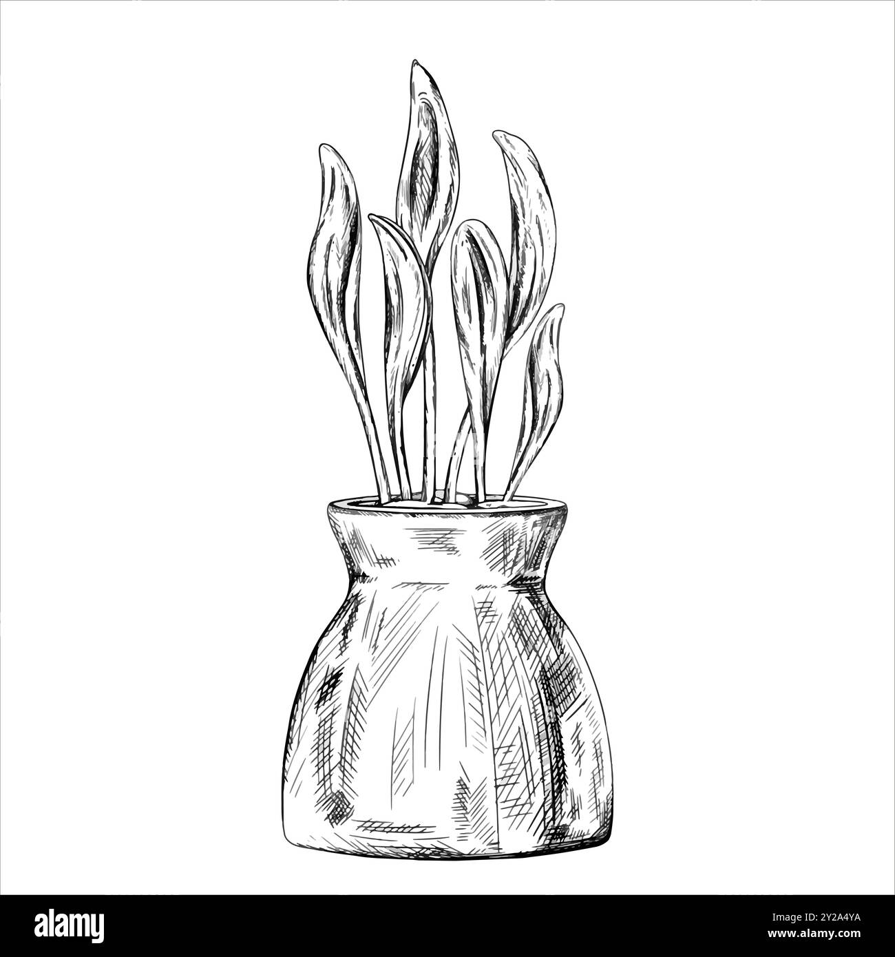 Illustration vectorielle de grains germés de jeune maïs dans un pot en céramique. Micro verts bio. Une plante pour la culture à domicile en pots, aménagement paysager de l'in Illustration de Vecteur