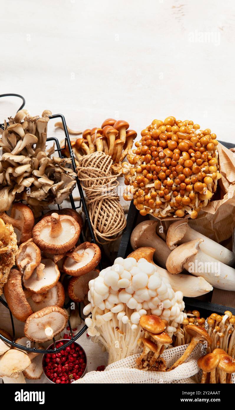 Savoureuse collection de champignons crus. Concept de nourriture saine. Vue de dessus, espace de copie Banque D'Images