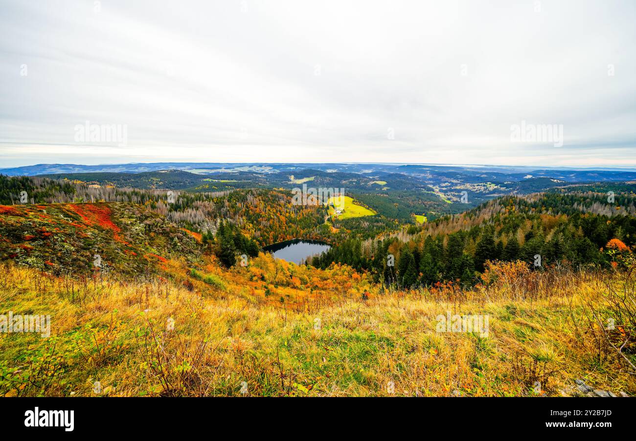 Paysage automnal sur le Feldberg dans la Forêt Noire avec une vue sur le Feldsee et la nature environnante avec des forêts et des collines. Banque D'Images