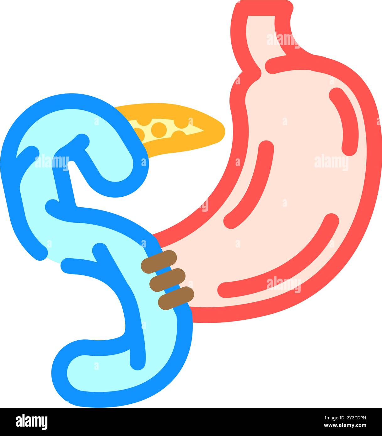 illustration vectorielle d'icône de couleur de chirurgie de la procédure de whipple Illustration de Vecteur