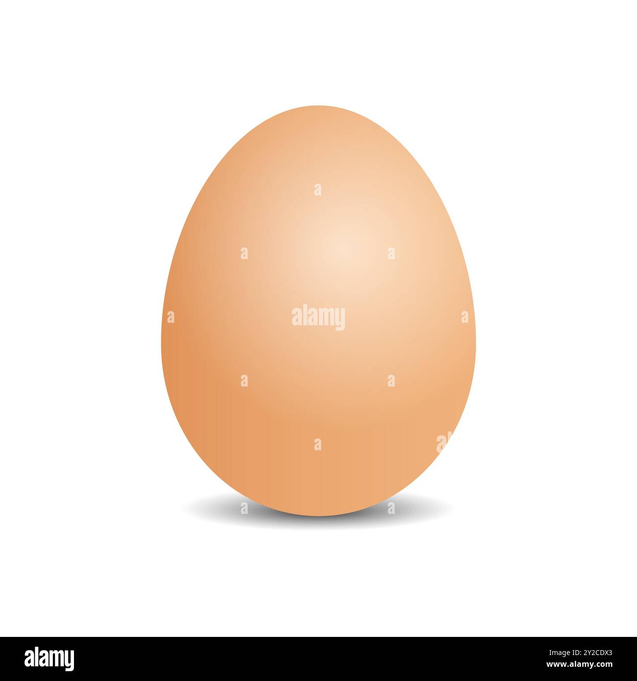 Œuf de poulet simple isolé sur fond blanc Illustration de Vecteur