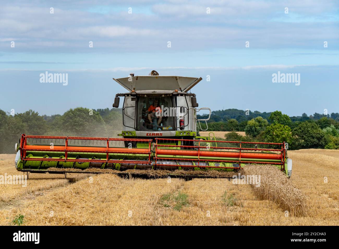 Moissonneuse-batteuse CLAAS Lexikon Otley Suffolk Banque D'Images