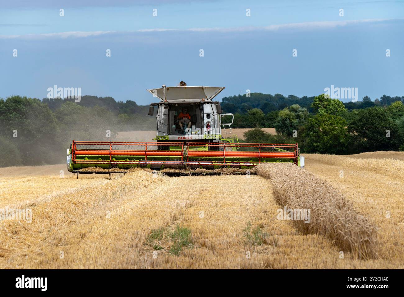 Moissonneuse-batteuse CLAAS Lexikon Otley Suffolk Banque D'Images