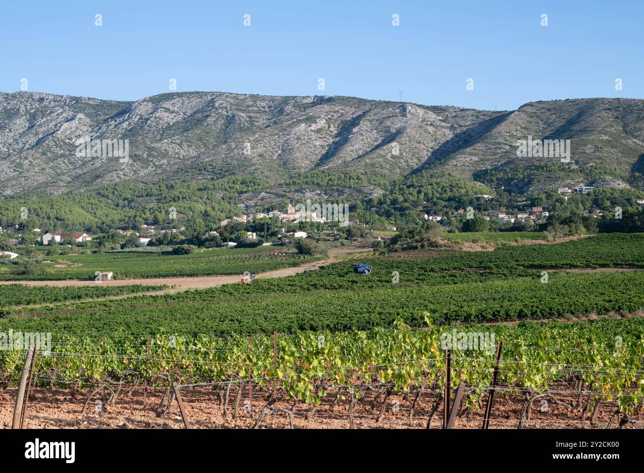 Puyloubier, France, 10 septembre 2024. Une machine à vendanger en action au milieu des vignobles pittoresques de Puyloubier, le plus grand des Bouches-du-Rhône. Nichée au cœur de la Provence, cette région est réputée pour ses vins AOC Côtes de Provence Sainte-victoire. Les vendanges se poursuivent dans le sud de la France, la machine glisse à travers des rangées de vignes luxuriantes, récoltant des fruits mûrs destinés à des vins de classe mondiale. Crédit : David GABIS/Alamy Live News Banque D'Images
