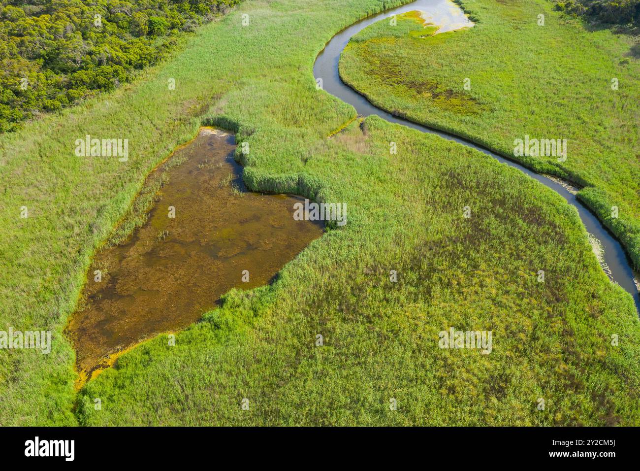 Vue aérienne d'un ruisseau d'eau douce serpentant à travers une zone humide verdoyante à Port Campbell sur la Great Ocean Road à Victoria, en Australie. Banque D'Images