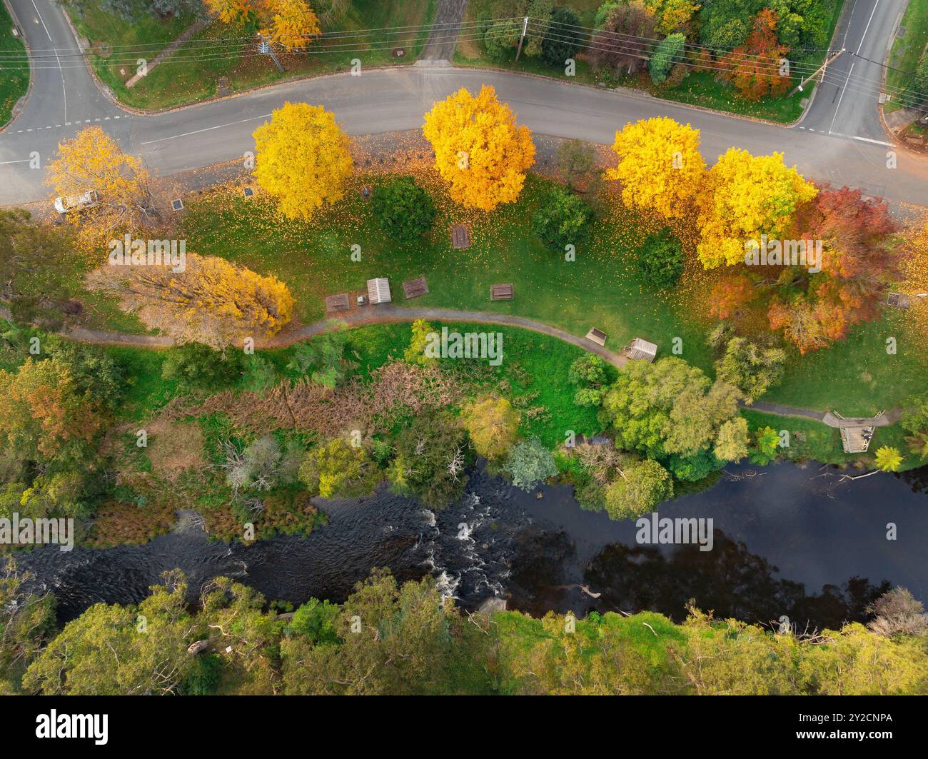Vue aérienne des sentiers pédestres à côté d'une rivière avec des arbres d'automne dorés à Warburton dans la vallée de Yarra dans le Victoria, Australie Banque D'Images