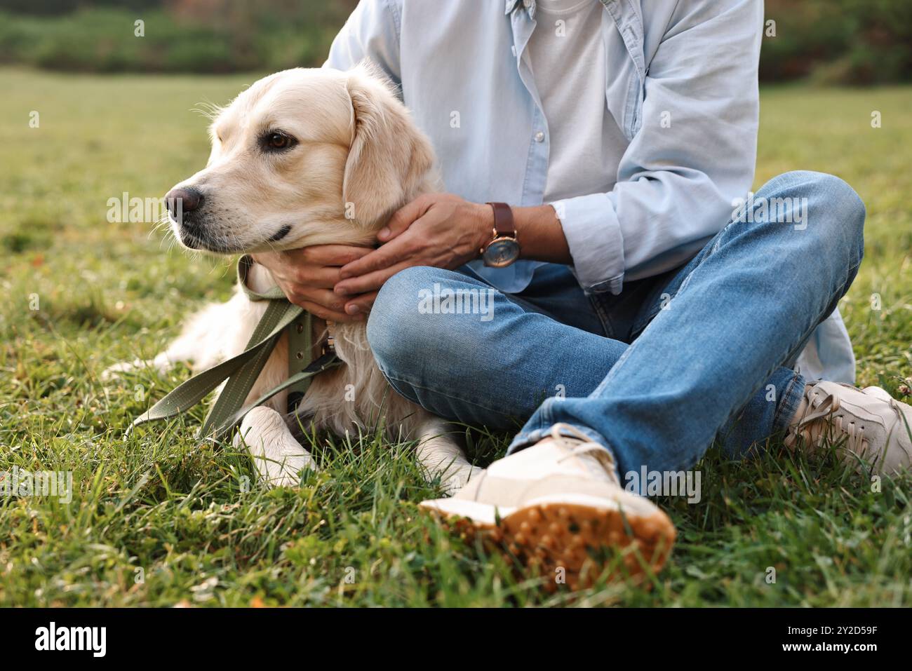 Homme avec chien mignon Golden Retriever le jour du printemps, gros plan Banque D'Images