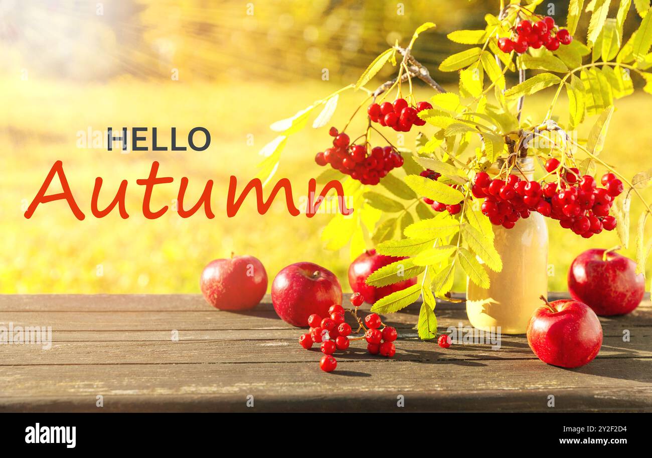 Bonjour automne. Paysage de campagne avec des branches de rowan et des pommes rouges au soleil. Fond de saison d'automne Banque D'Images