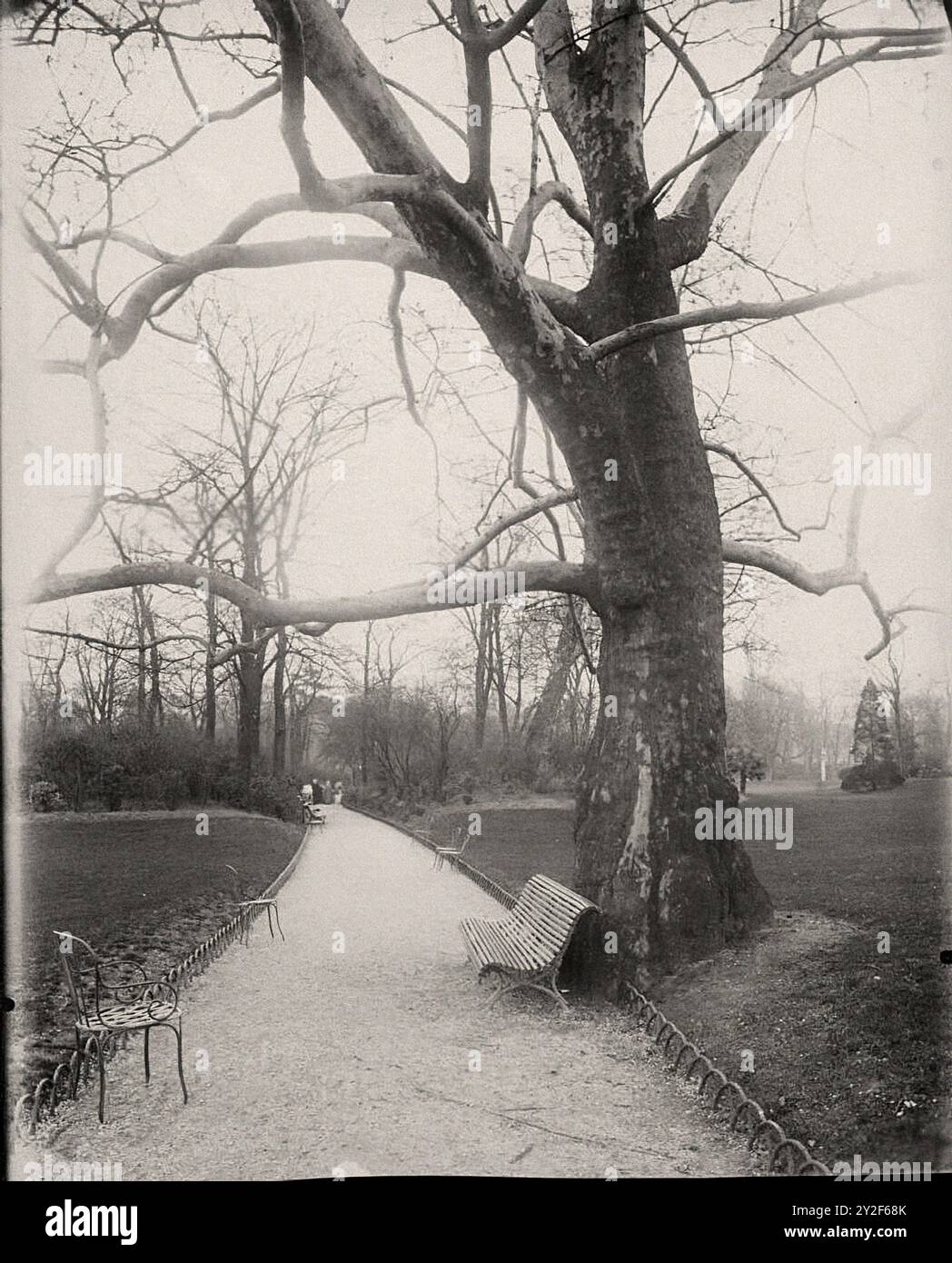 Eugène Atget - Parc Monceau 8e Arr - Paris à Le temps des travaux du Baron Haussmann 02 Banque D'Images