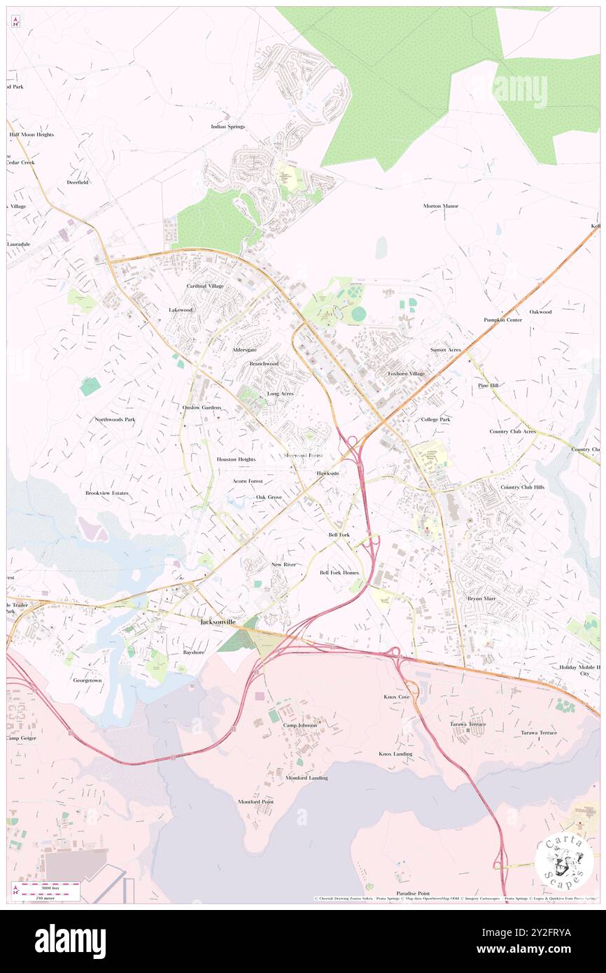 Sherwood Forest, Onslow County, US, États-Unis, Caroline du Nord, n 34 46' 21'', S 77 24' 22'', carte, Cartascapes carte publiée en 2024. Explorez Cartascapes, une carte qui révèle la diversité des paysages, des cultures et des écosystèmes de la Terre. Voyage à travers le temps et l'espace, découvrir l'interconnexion du passé, du présent et de l'avenir de notre planète. Banque D'Images