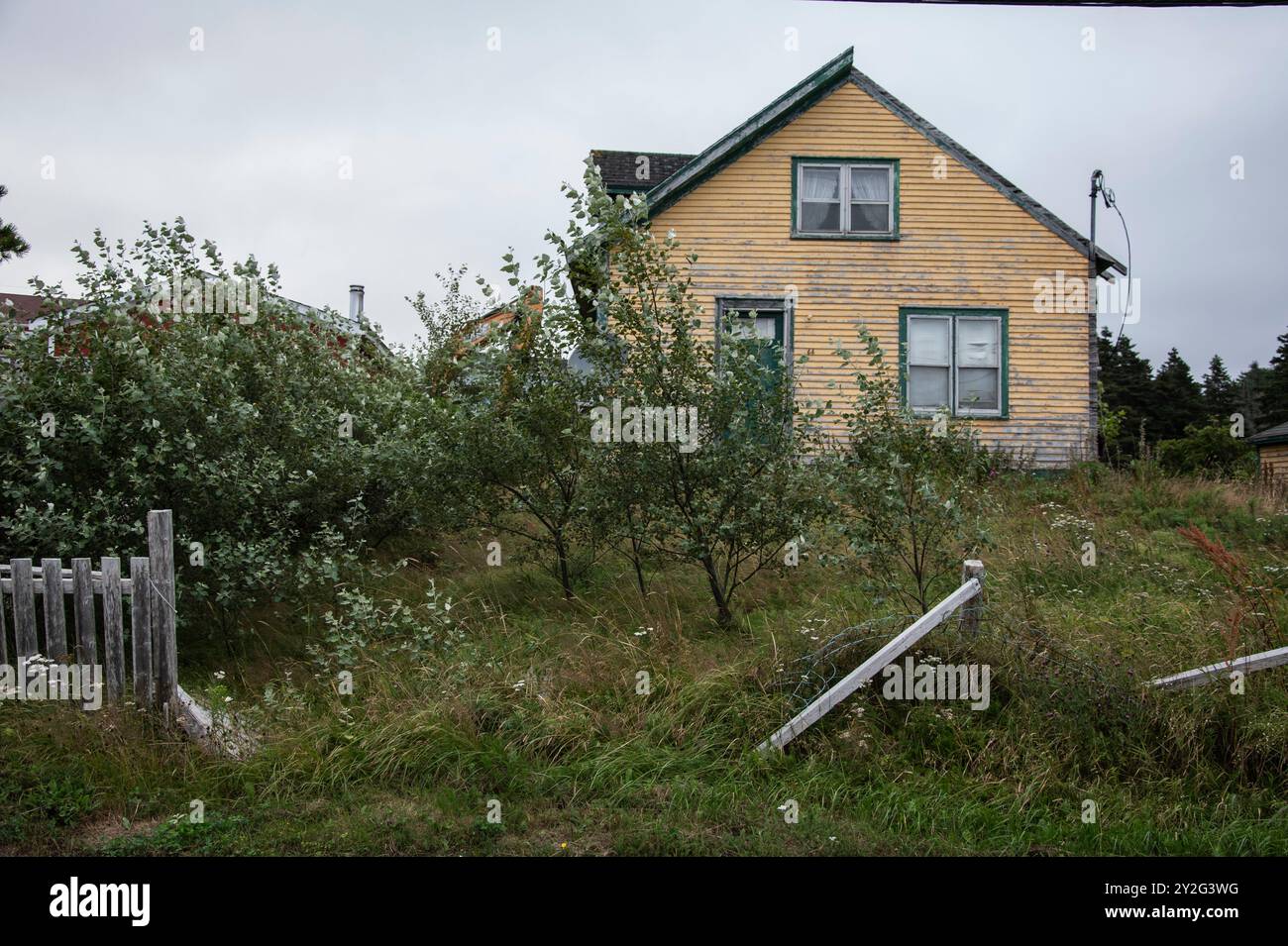 Fixer maison haute à Dildo, Terre-Neuve-et-Labrador, Canada Banque D'Images