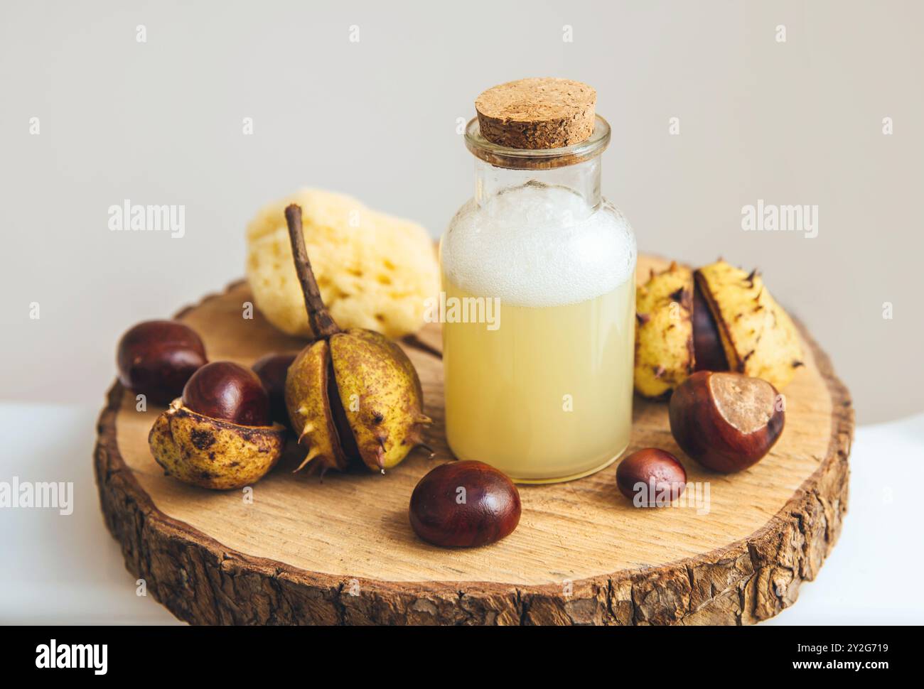 Concept de savon liquide naturel et de shampooing. Châtaigne de cheval, ésculus, eau liquide buckeye, sorcière contenant de la saponine naturelle la matière de nettoyage. Banque D'Images Concept de savon liquide naturel et de shampooing. Châtaigne de cheval, ésculus, eau liquide buckeye, sorcière contenant de la saponine naturelle la matière de nettoyage. Banque D'Images