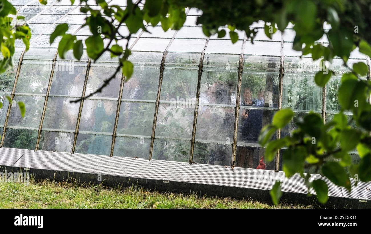 Charmante réception de mariage en serre : une célébration de campagne rustique Banque D'Images