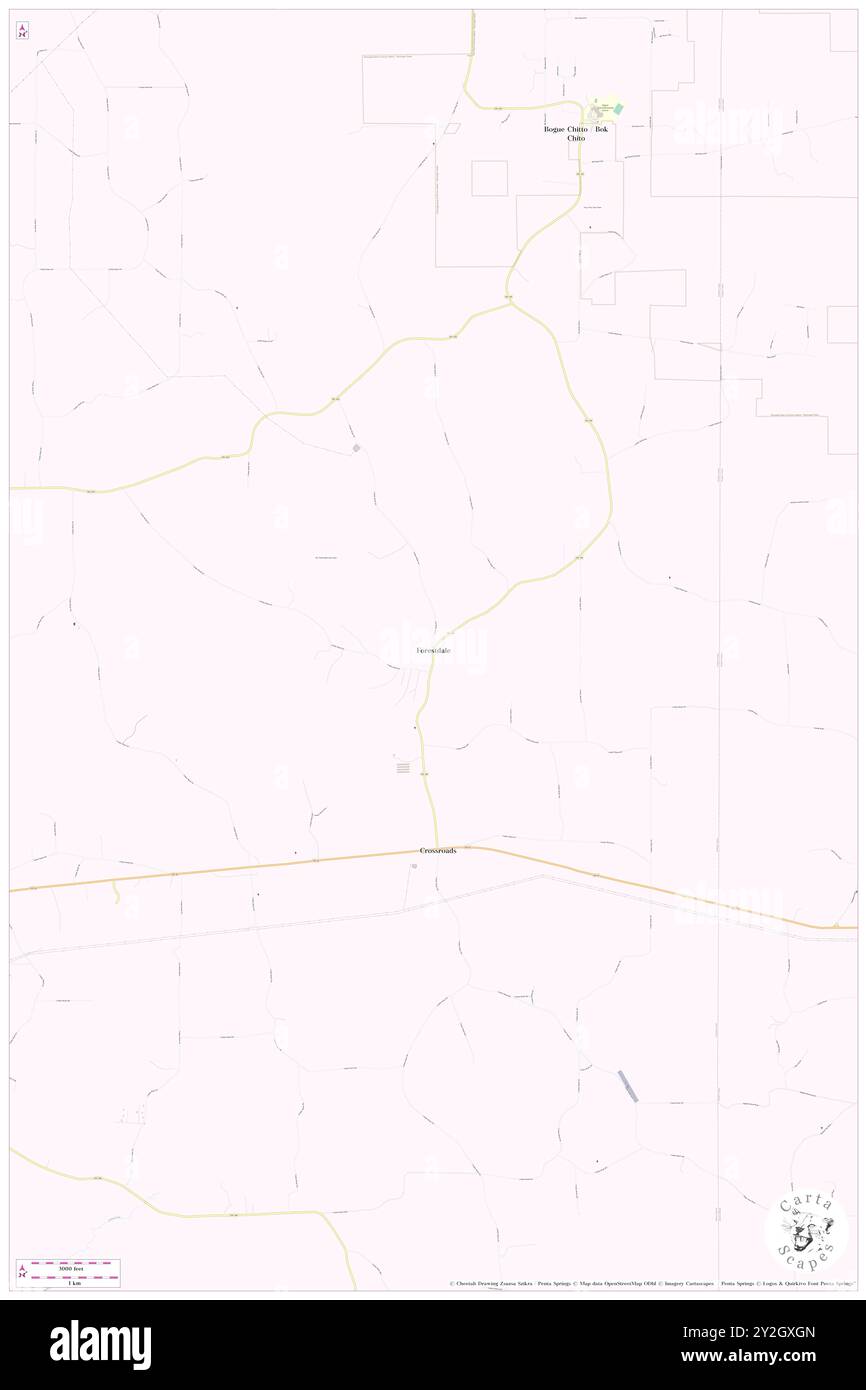 Forestdale, Comté de Neshoba, US, États-Unis, Mississippi, n 32 46' 44'', S 88 56' 56'', carte, Cartascapes carte publiée en 2024. Explorez Cartascapes, une carte qui révèle la diversité des paysages, des cultures et des écosystèmes de la Terre. Voyage à travers le temps et l'espace, découvrir l'interconnexion du passé, du présent et de l'avenir de notre planète. Banque D'Images