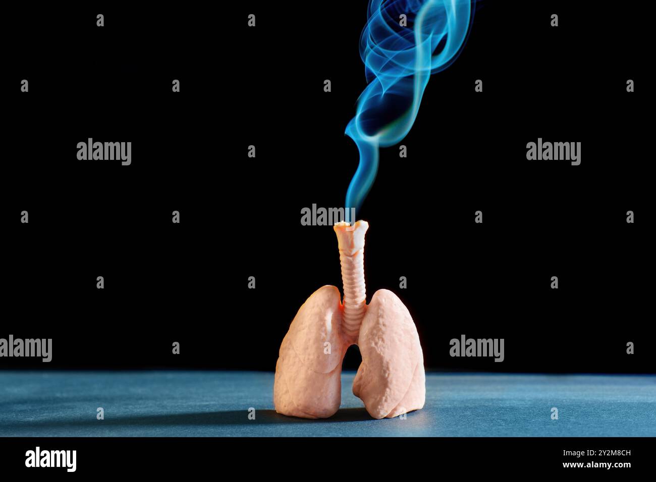 Modèle de poumons humains avec fumée bleue qui s'élève de la trachée, symbolisant la santé respiratoire et les effets du tabagisme. Banque D'Images