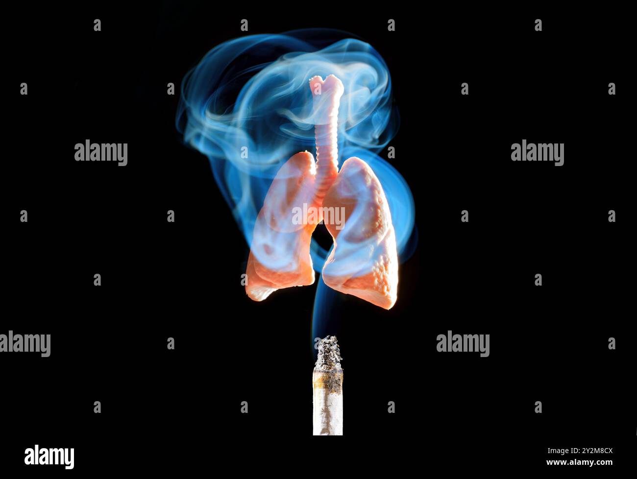 Modèle anatomique de poumons humains enveloppés dans la fumée bleue d'une cigarette, représentant les effets néfastes du tabagisme sur la santé respiratoire. Banque D'Images