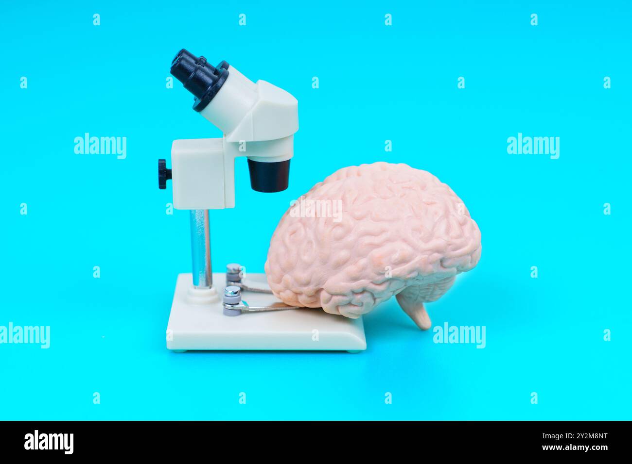 Image conceptuelle d'un microscope à côté d'un modèle cérébral, sur fond turquoise vibrant, illustrant des thèmes de neuroscience ou de biologie. Banque D'Images