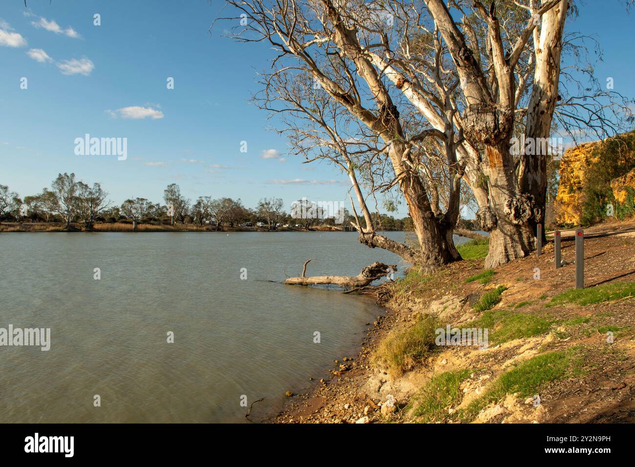 River Murray, Swan Reach, Australie méridionale, Australie Banque D'Images