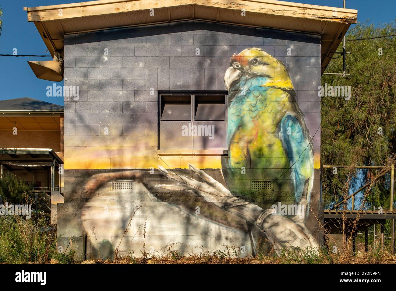 Mallee Ringneck Pump Station Art par Jarrod Loxton, Swan Reach Banque D'Images