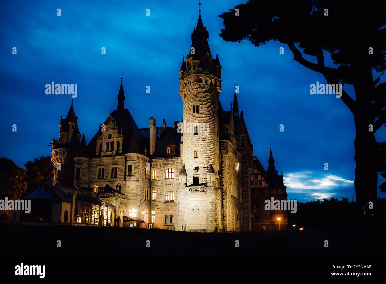 Vieux château polonais dans le village de moszna dans les lumières de la nuit Banque D'Images