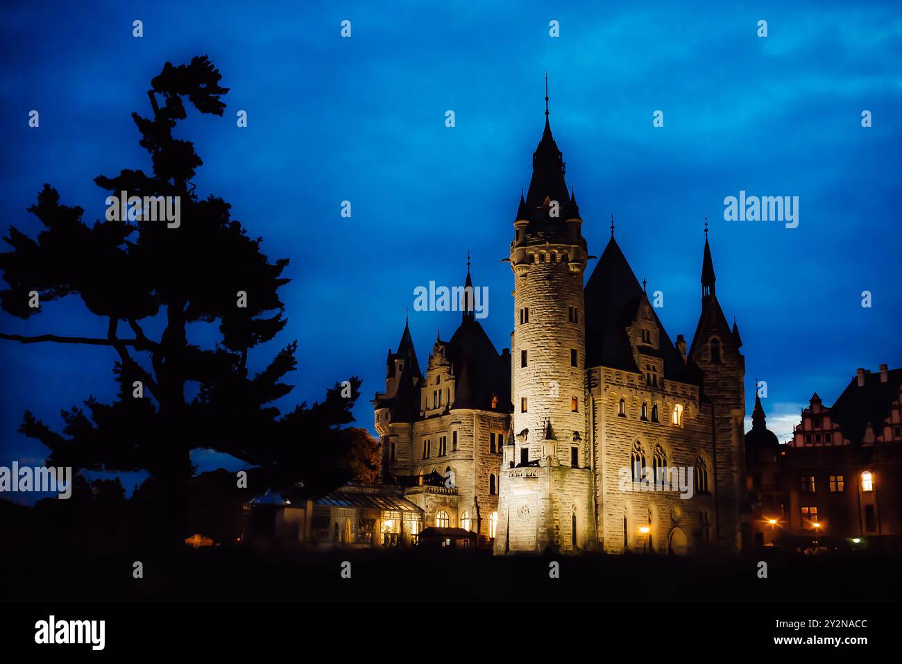 Vieux château polonais dans le village de moszna dans les lumières de la nuit Banque D'Images