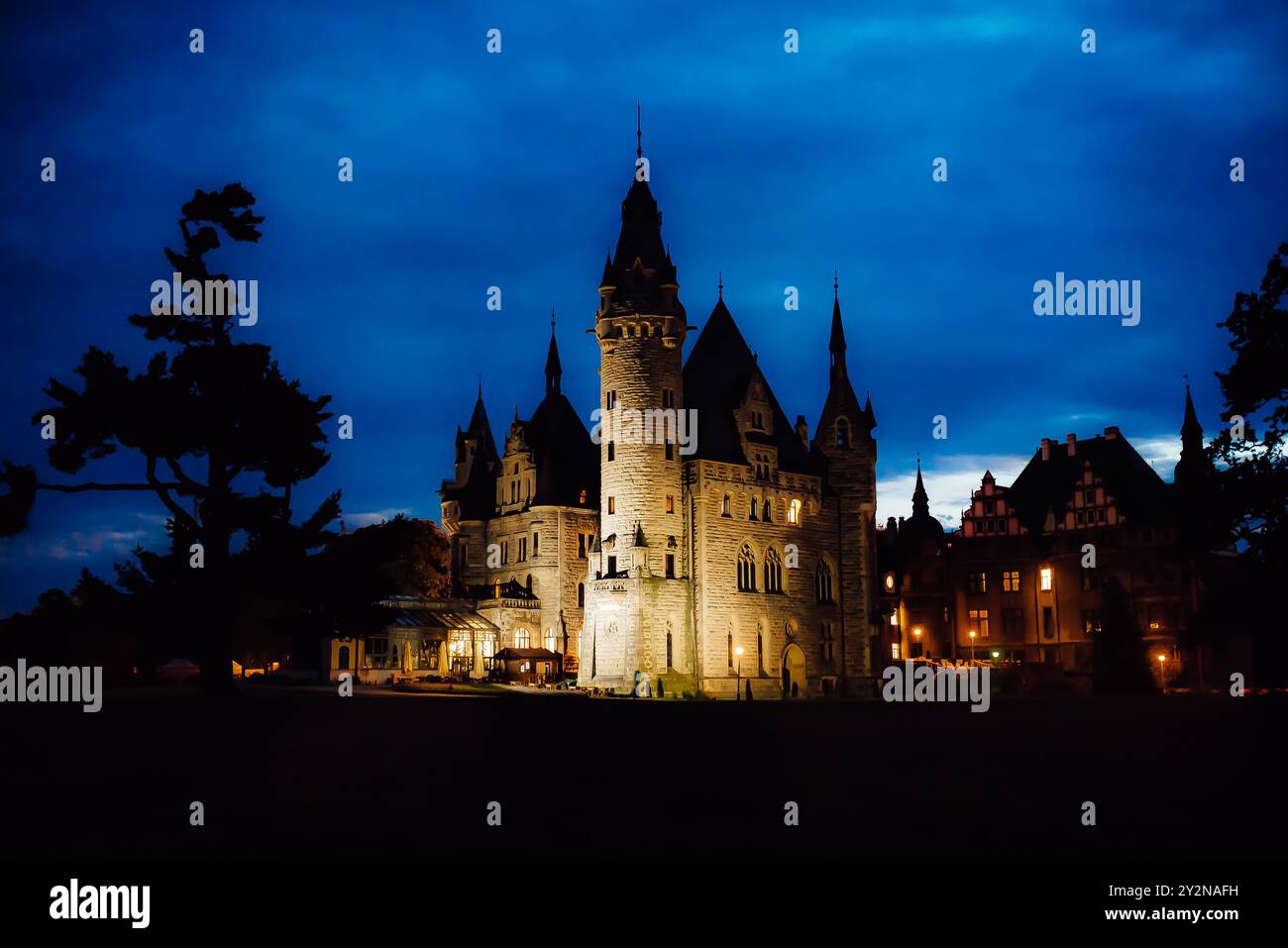 Vieux château polonais dans le village de moszna dans les lumières de la nuit Banque D'Images