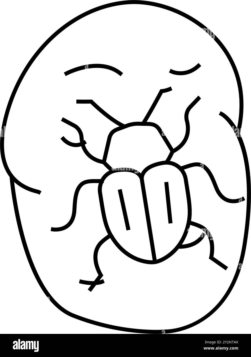 illustration vectorielle de l'icône de la ligne de scarabée du colorado Illustration de Vecteur