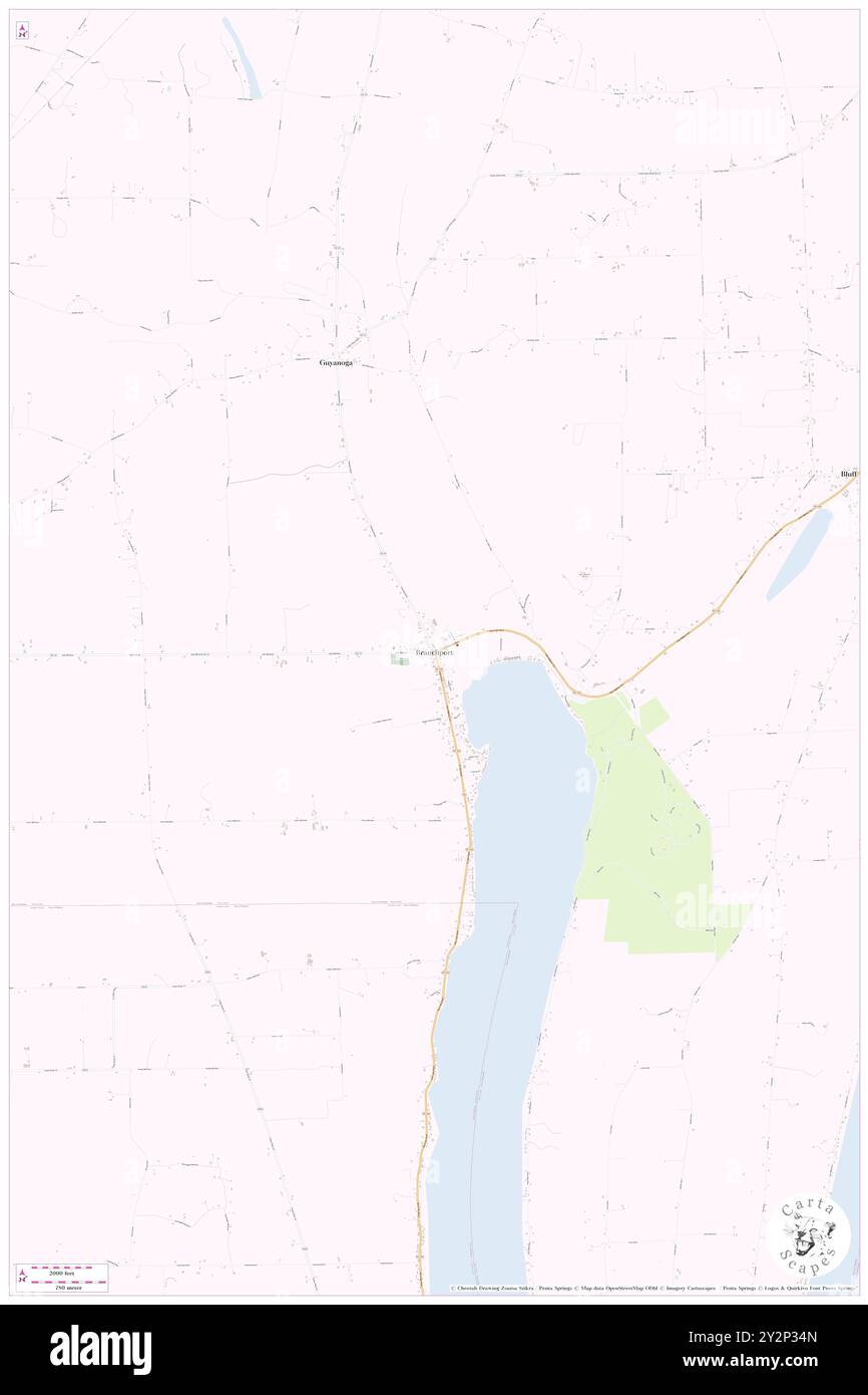 Branchport, Comté de Yates, US, États-Unis, New York, n 42 35' 55'', S 77 9' 13'', carte, Cartascapes carte publiée en 2024. Explorez Cartascapes, une carte qui révèle la diversité des paysages, des cultures et des écosystèmes de la Terre. Voyage à travers le temps et l'espace, découvrir l'interconnexion du passé, du présent et de l'avenir de notre planète. Banque D'Images