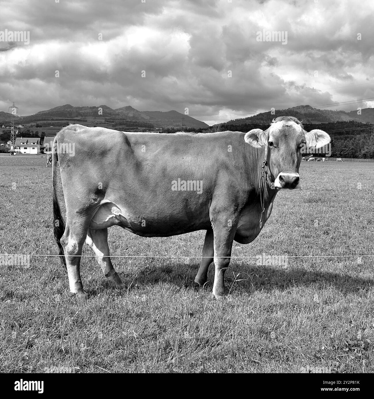 Ce que la nature a à offrir Banque D'Images