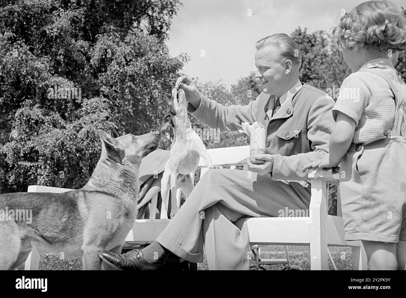 Effectif 1948 : bons chiens en visite. Cet été, Oslo a reçu la visite du dresseur de chiens suédois Gustav Laneryd et de ses 8 chiens. Photo : aktuell / NTB ***photos non traitées*** le texte de cette image est automatiquement traduit le texte de cette image est automatiquement traduit Banque D'Images