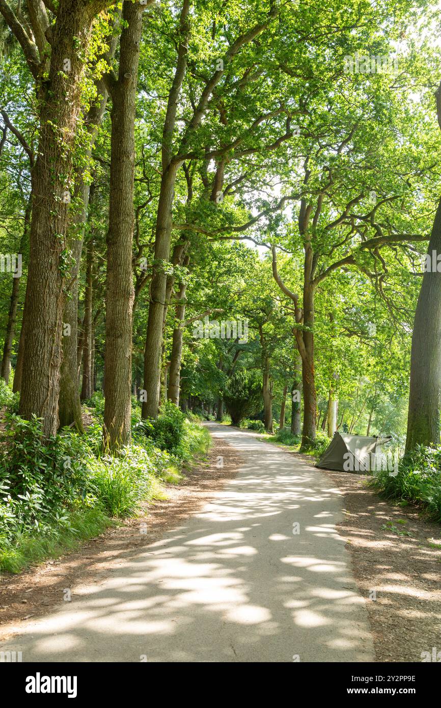 Sentier le long du lac Shearwater, Crockerton, Wiltshire, Angleterre Banque D'Images