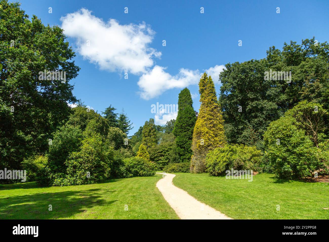 Un sentier à travers Horningsham Country Park près de Shear Water, Wiltshire, Angleterre Banque D'Images