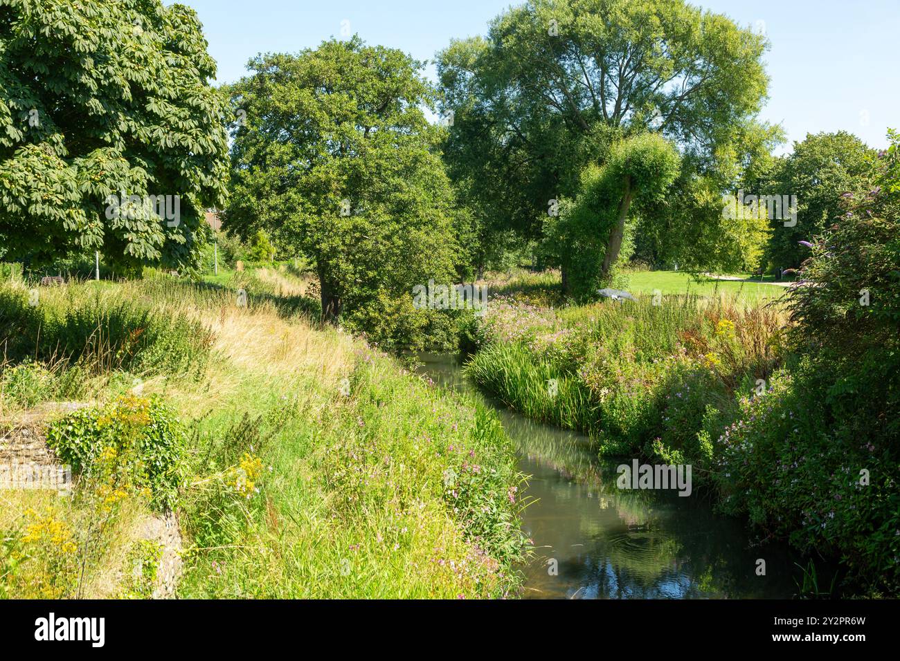 River Asker à Riverside Gardens à Bridport, Dorset, Angleterre Banque D'Images